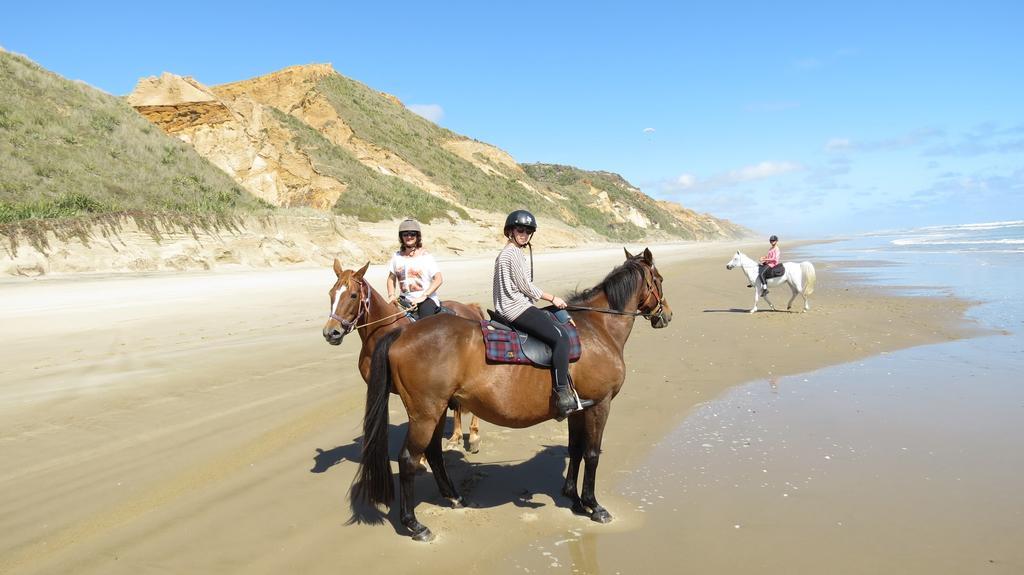 Baylys Beach Holiday Park Ngoại thất bức ảnh